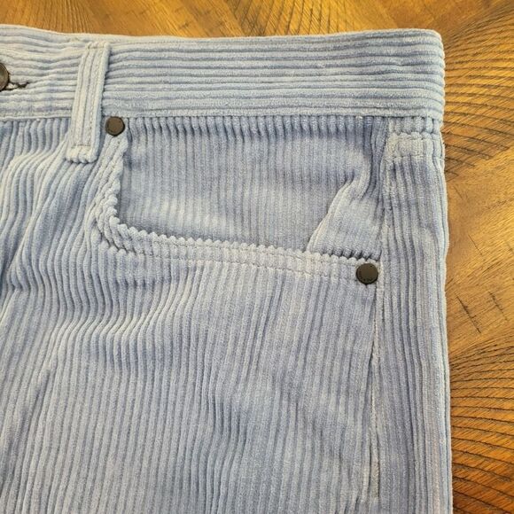 $250 MSRP rag & bone Riviera Cordory Ankle Straight Leg Size 32 Blue - Picture 7 of 11